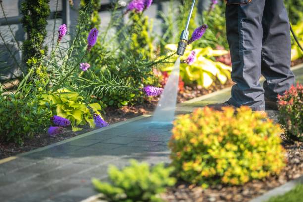 Best Dumpster Area Cleaning  in Harvey, MI