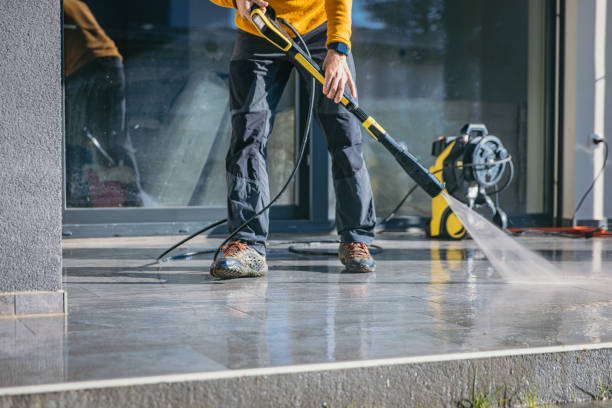 Best Solar Panel Cleaning  in Harvey, MI